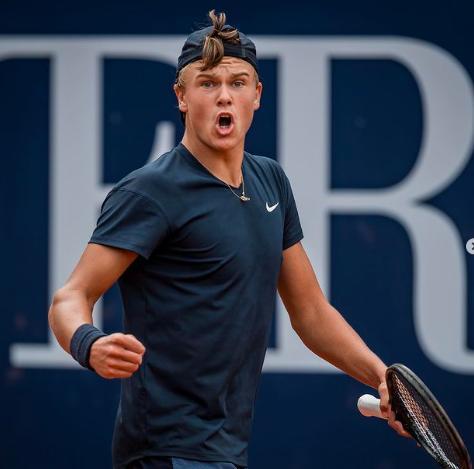 每年春季 每年春季