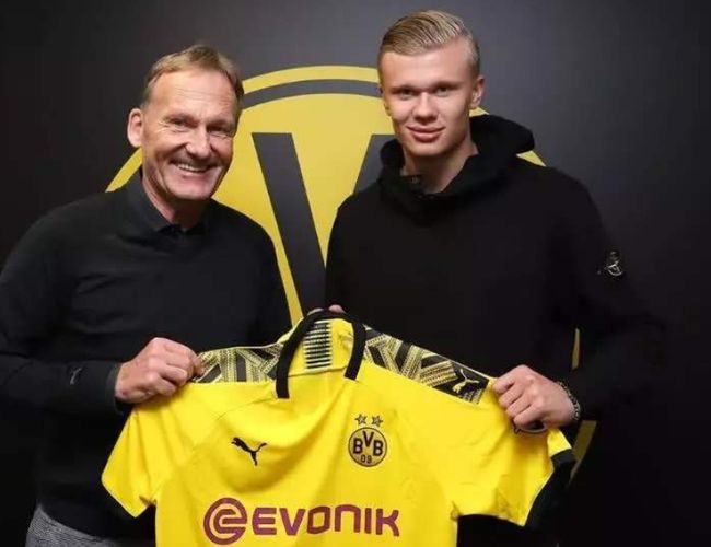 现金流双重 现金流双重